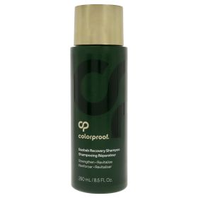 The Volume Shampoo by Bjorn Axen for Unisex - 10.14 oz Shampoo